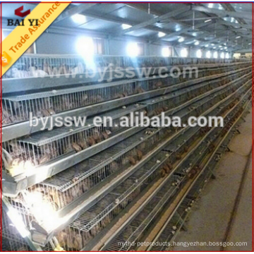 Cage Of Quail Breeding Cage/Laying Cage For Quail